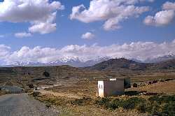 Chaco scrubland