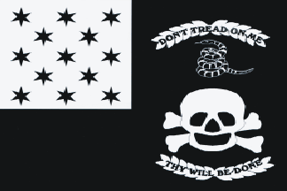 Banner carried at Plattsville 1812
