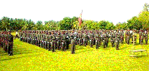 Tamil Tigers on parade. Up to 2008, 20,000 government soldiers and probably many more rebels had died in the ethnic fighting on this small island the size of Ireland. 