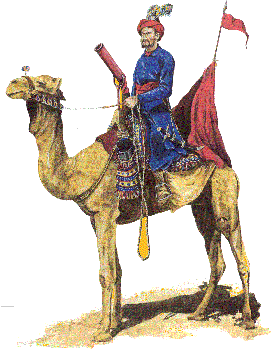 C18 camel artillery of Nadir Shah