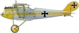 Pfalz fighter