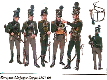 Danish Napoleonic Jaegers
