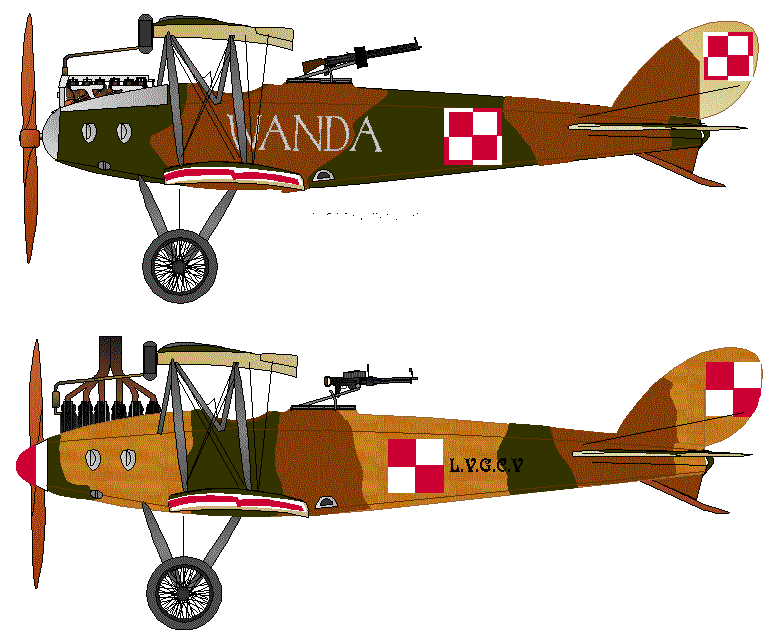 Both Germans and Allies supplied many aircraft to the Poles in 1918 - 19