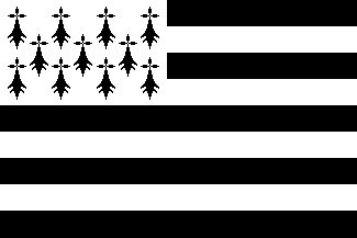Flag of Brittany - that of Kernow = Cornwall is a white cross on black