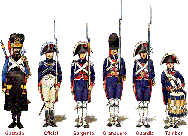 Walloon Guard in the Spanish service 1808