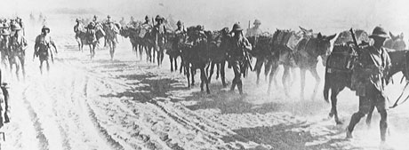 The British advance north through Iraq 1916