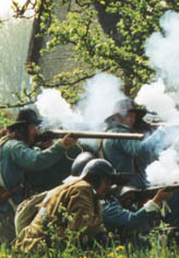 Musketeers give fire from the cover of a hedgerow