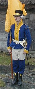 Standard bearer of the Hat War 1779